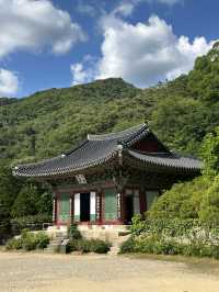 고즈넉한 강원도 홍천의 🏝️깨끗한 대자연을 느끼기에 좋은 사찰여행 추천여행지💚