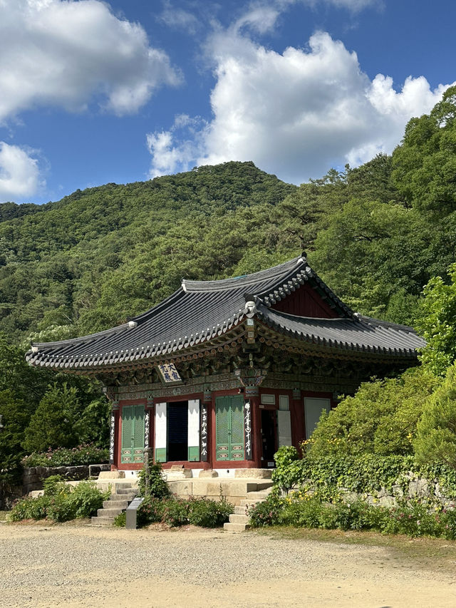 고즈넉한 강원도 홍천의 🏝️깨끗한 대자연을 느끼기에 좋은 사찰여행 추천여행지💚
