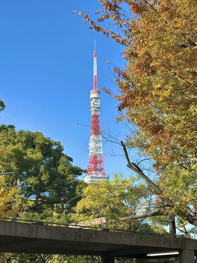 도쿄타워와 쇼핑 모두 잡은 도쿄 여행코스🗼