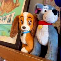 คาเฟ่สาวก "Disney" ห้ามพลาด!