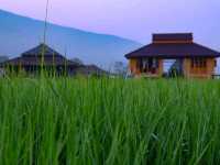 🌾 โรงเรียนชาวนา จ.น่าน 🌾