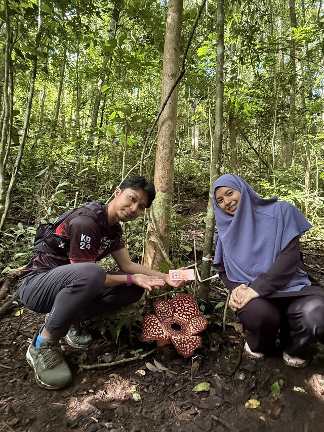 🌺 Chasing Giants in the Wild! 🌿