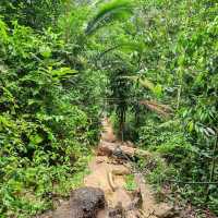 Penang National Park