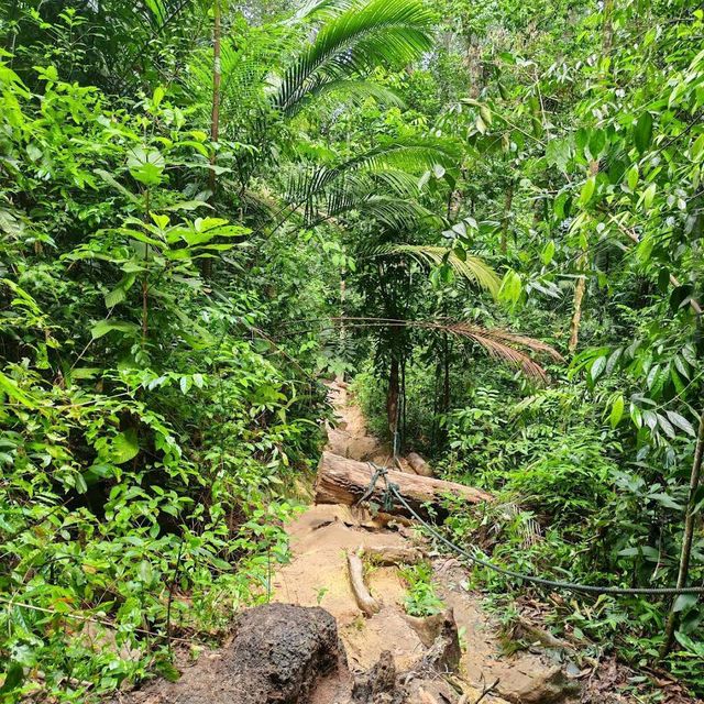 Penang National Park