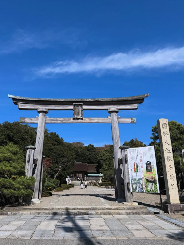 縁結びの聖地へ🌿氣多大社で心を整える神社旅