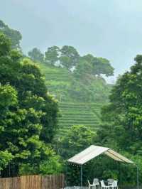 🌳🛖被問爆的清遠大羅山網紅民宿