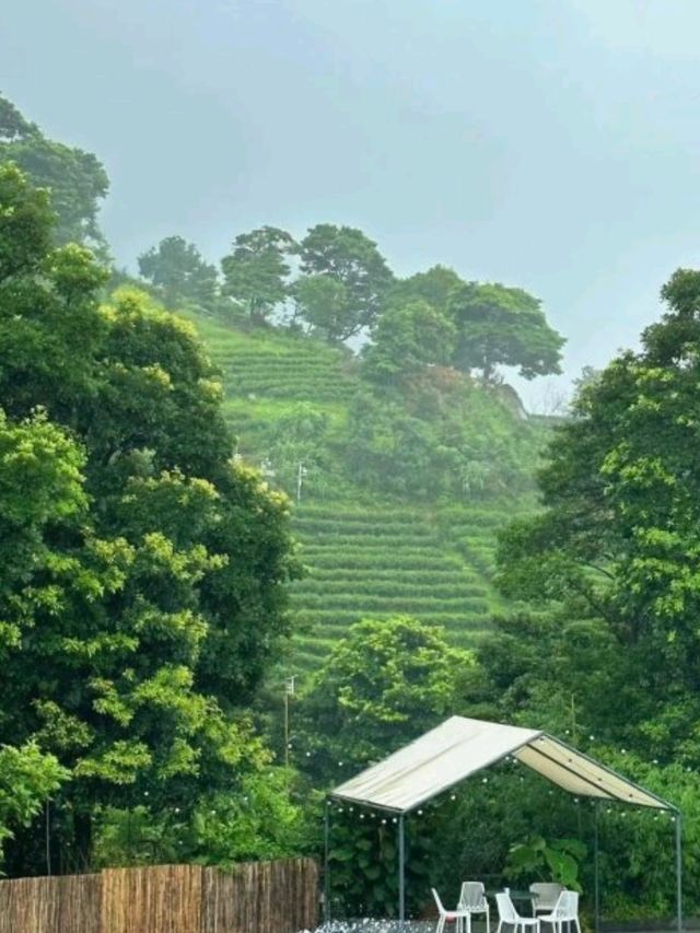 🌳🛖被問爆的清遠大羅山網紅民宿