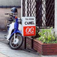 TEA ROOM CAMEL
