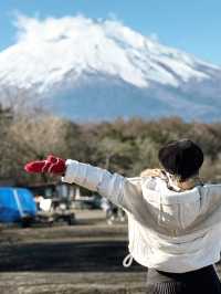 Yamanakako Lake กับหงส์ตัวใหญ่
