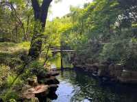 🌸 Lingering Garden 留园 — Grace, Balance & Jiangnan Beauty