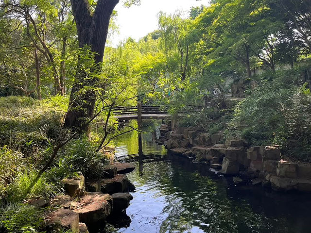 🌸 Lingering Garden 留园 — Grace, Balance & Jiangnan Beauty