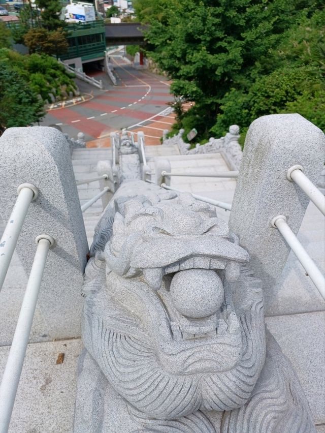 혼자만의 시간, 조용히 머무는 삼광사⛅