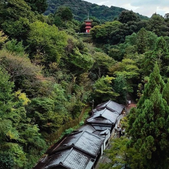 清水の舞台で感じた歴史と時の流れ