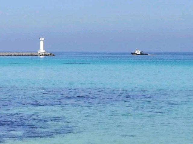 映えだらけ、韓国のハワイ、チェジュ島