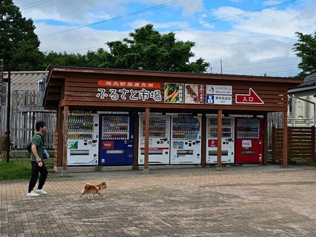 名古屋高速公路美麗休息站〔ひるがの高原サービスエリア〕⛰️☕