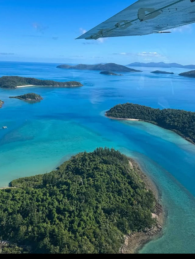 🐠【海の楽園へダイブ】グレート・バリア・リーフで夢のようなひととき
