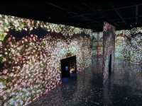 Busan's ARTE MUSEUM: A Visually Stunning Experience! ✨🎨