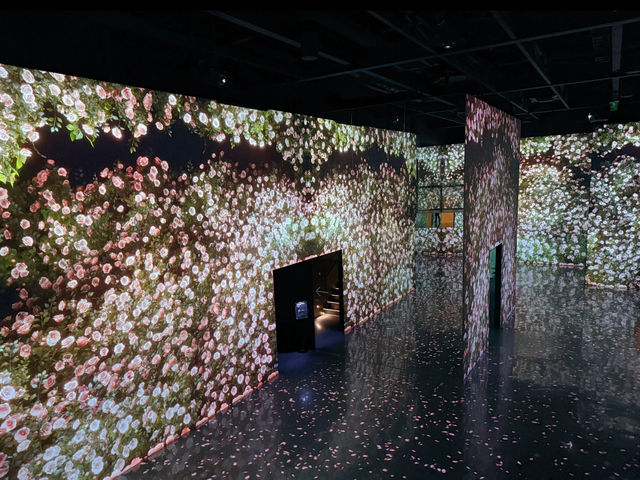Busan's ARTE MUSEUM: A Visually Stunning Experience! ✨🎨