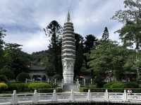 Nanputuo Temple’s Water Lily Garden: Where Buddha Meets Blooms (And Your Soul Finds Zen)"** 🌸🏯  