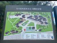 Gangneung: Ojukheon, Coffee Street & Wolhwaga Street Strolls! 🌳☕🚶‍♀️