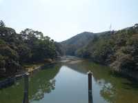 ⛩️ Sacred Stillness in Ise – A Soulful Walk Through Kotai Jingu