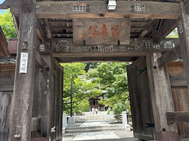 🌊【伊豆1日1夜體驗 | 大室山＋稻取溫泉旅館】
