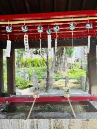 大森🇯🇵磐井神社の万病に効く水が有名みたい⛩️⟡.·