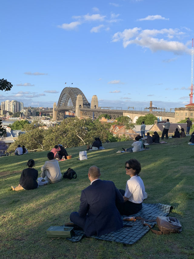여름 시드니를 추천하는 이유 🇦🇺❤️
