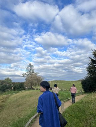 Hidden Gems in Hobbiton: A Postcard-Worthy Sheep Meadow!