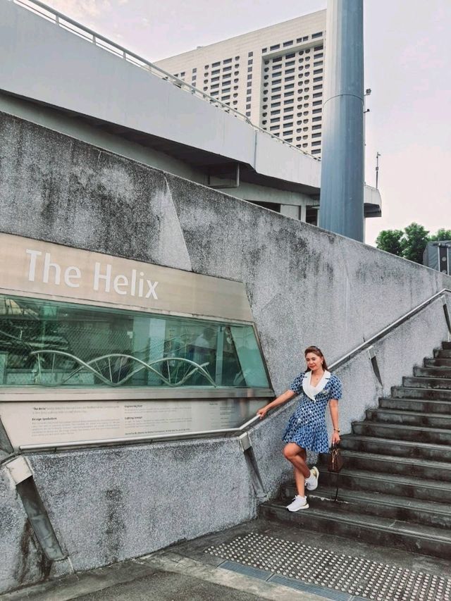 The Helix Bridge – Merlion – Marina Bay สิงคโปร์