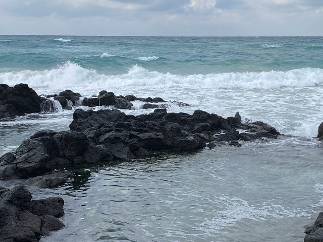 제주도 3박 4일 여행 🍊