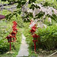 頂湖社區-草山瀑布-猴崁水圳步道-竹子湖歡樂行