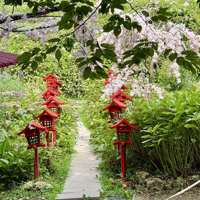 頂湖社區-草山瀑布-猴崁水圳步道-竹子湖歡樂行