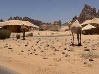 My Stay at Banyan Tree AlUla: A Desert Oasis Experience! 🇸🇦✨