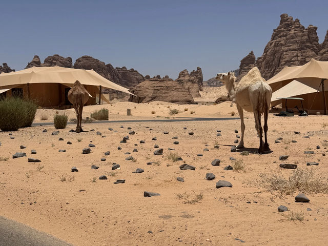 My Stay at Banyan Tree AlUla: A Desert Oasis Experience! 🇸🇦✨