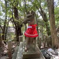 ⛩🍃 Uji Shrine – A Hidden Gem Where Time Whispers