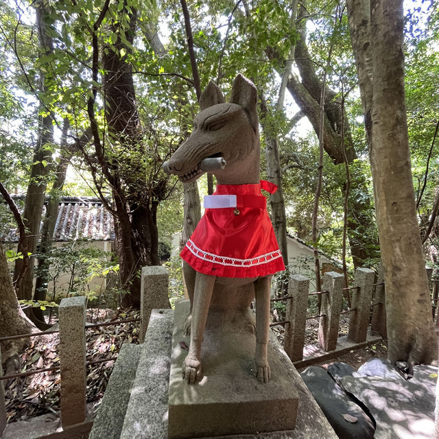 ⛩🍃 Uji Shrine – A Hidden Gem Where Time Whispers