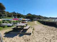 Cameron's Bight Boat Club：彩虹船与航海传奇