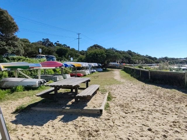 Cameron's Bight Boat Club：彩虹船与航海传奇