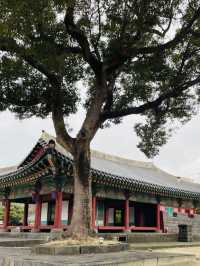 A Serene Oasis of Traditional Korean Architecture