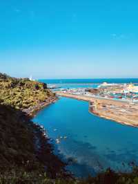 Commanding Daytime Vistas of Jeju's Coast and City