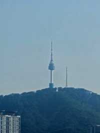 낙산공원 감성뷰카페 산1-1 완전정복
