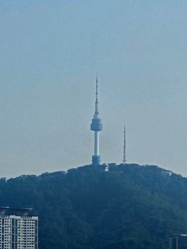 낙산공원 감성뷰카페 산1-1 완전정복