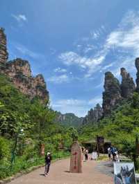 Zhangjiajie National Forest Park rocks!! 🏞