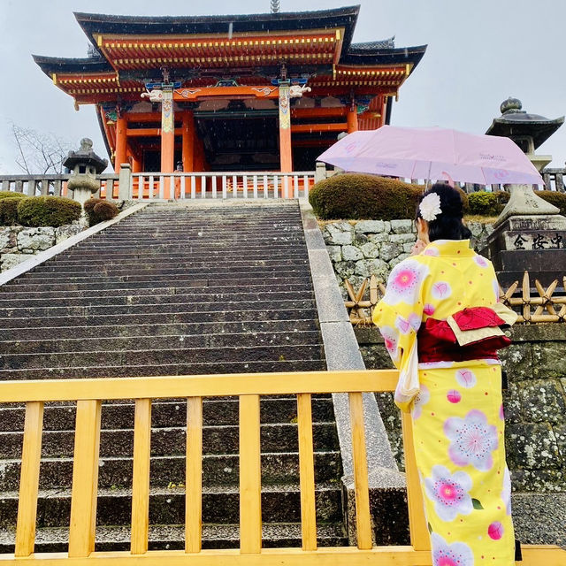 日本散策：古都奈良，與神的使者相遇