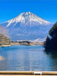 ทะเลสาบทานุกิ (Lake Tanuki)