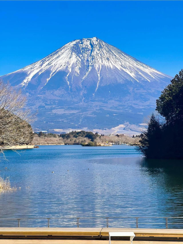 ทะเลสาบทานุกิ (Lake Tanuki)