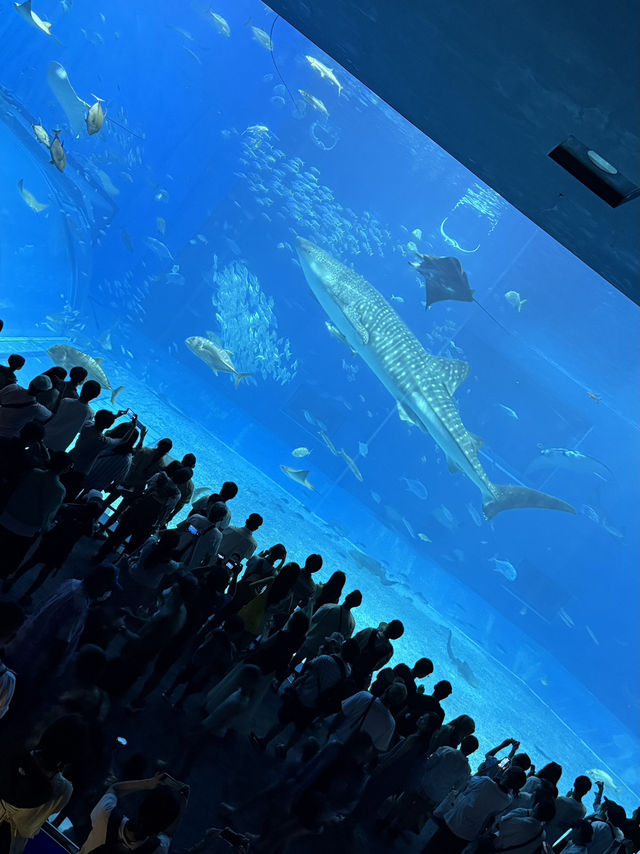 🎆沖繩必看！2025年「美麗海夏日煙花大會」🎇