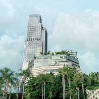 香港旅行を円滑に進める為の攻略法🔥〜交通編〜