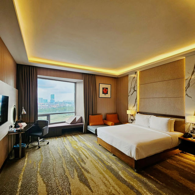 Elevated Comfort and Stylish Pulse